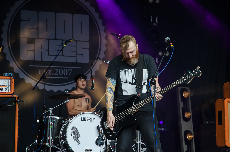 20 more bands added to 2000trees including ASIWYFA